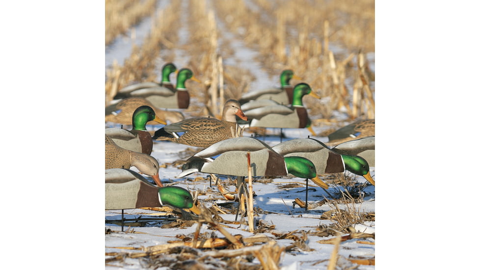 Greenhead Gear Over-Size Duck Decoy,Mallard Shells/Active Pack,Dozen 70166