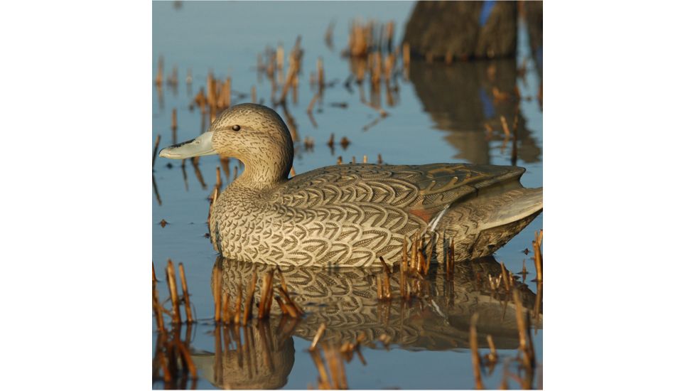 Greenhead Gear Over-Size Duck Decoy,Pintails,1/2 Dozen 73032