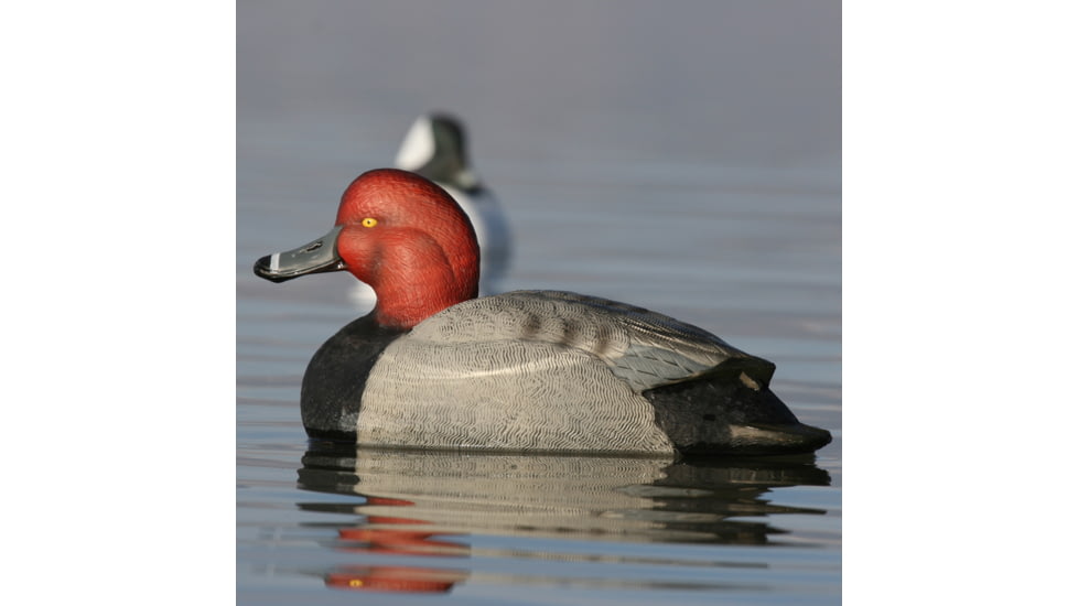 Greenhead Gear Over-Size Duck Decoy,Redheads,1/2 Dozen 73029
