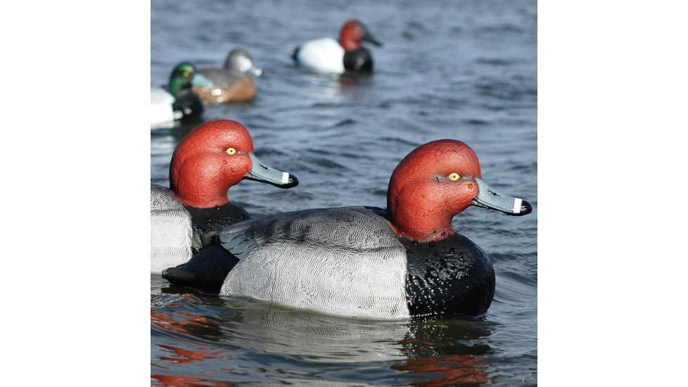 Greenhead Gear Over-Size Duck Decoy,Redheads,1/2 Dozen 73029