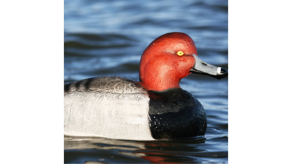 Greenhead Gear Over-Size Duck Decoy,Redheads,1/2 Dozen 73029