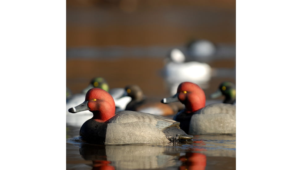 Greenhead Gear Over-Size Duck Decoy,Redheads,1/2 Dozen 73029