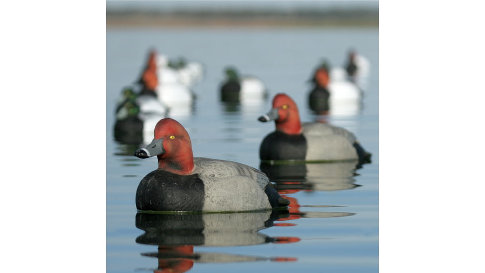 Greenhead Gear Over-Size Duck Decoy,Redheads,1/2 Dozen 73029