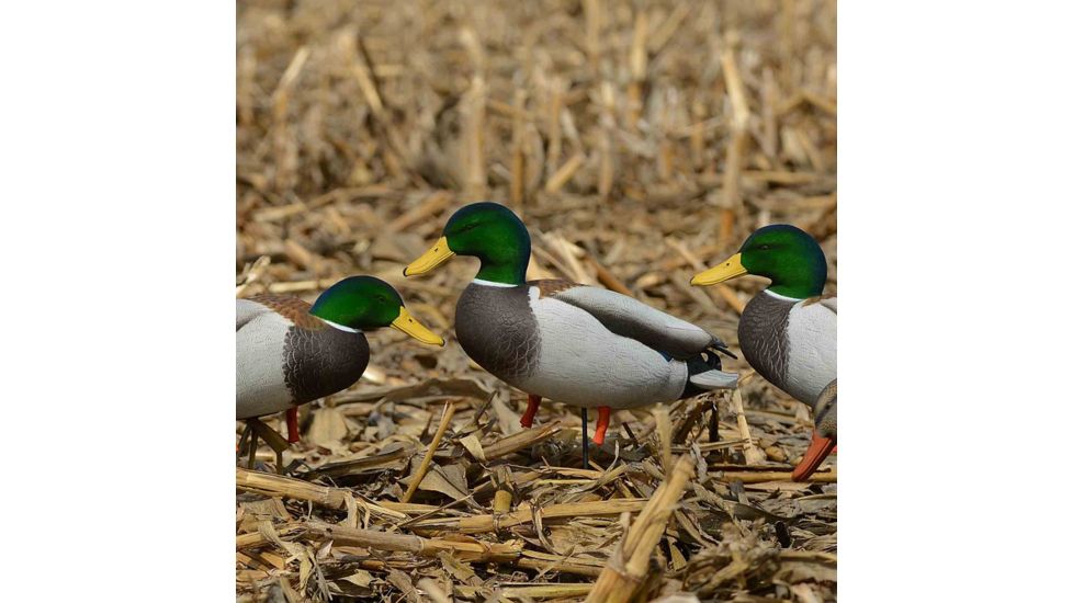 Greenhead Gear PG FB January Mallards/Harvester Pack w/flocked drake heads,1/2 Dozen 72228