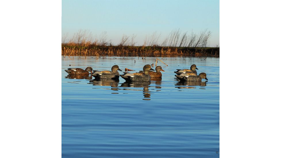 Greenhead Gear Pro-Grade Duck Decoy,Gadwall,1/2 Dozen 73145