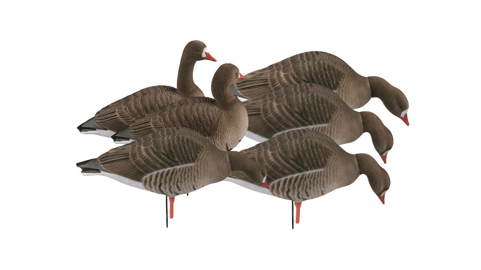 Demo,Greenhead Gear Pro-Grade Full Body Specklebelly Decoy,Harvester Pack,1/2 Dozen 71852