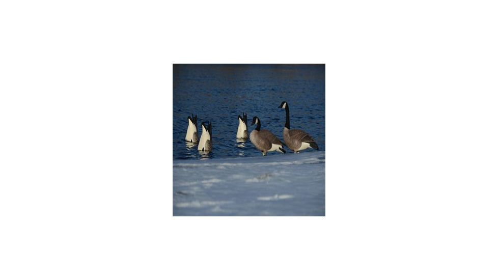 Greenhead Gear Pro-Grade Honker Butt-Up Feeders Decoy,Pair 71099