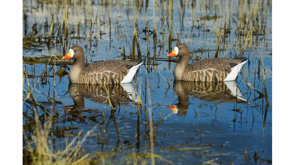 Greenhead Gear Pro-Grade Specklebelly Floaters Decoy,Active Pack,4-Pack 71095
