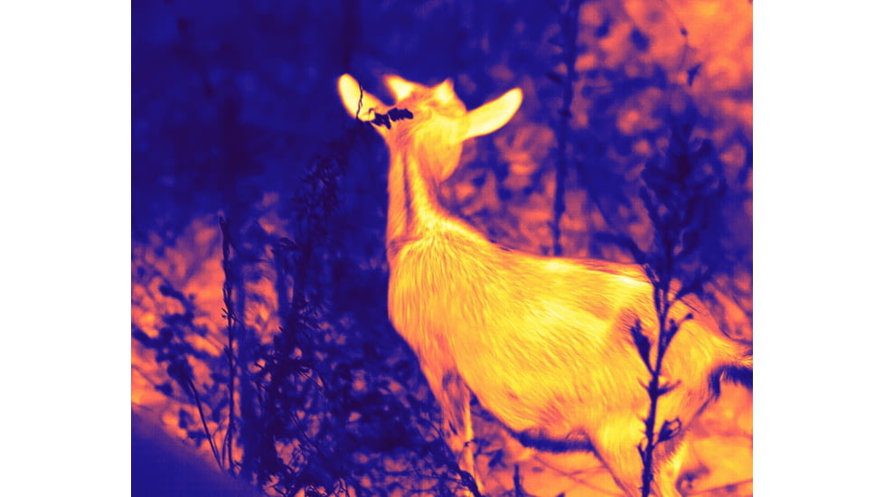 Guide Sensmart TD Gen2 Series TD411 1.4-5.6x19mm Thermal Monocular, 384x288, Black, TD411