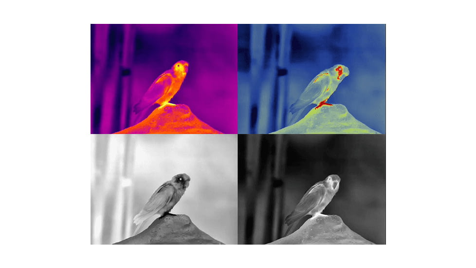 Guide Sensmart TN series LRF TN630 2.0-16x30mm Thermal Binocular, 640x480, Black, TN630LRF