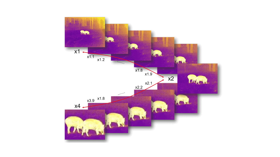 Guide Sensmart TN series LRF TN650 2.8-22.4x50mm Thermal Binocular, 640x480, Black, TN650LRF