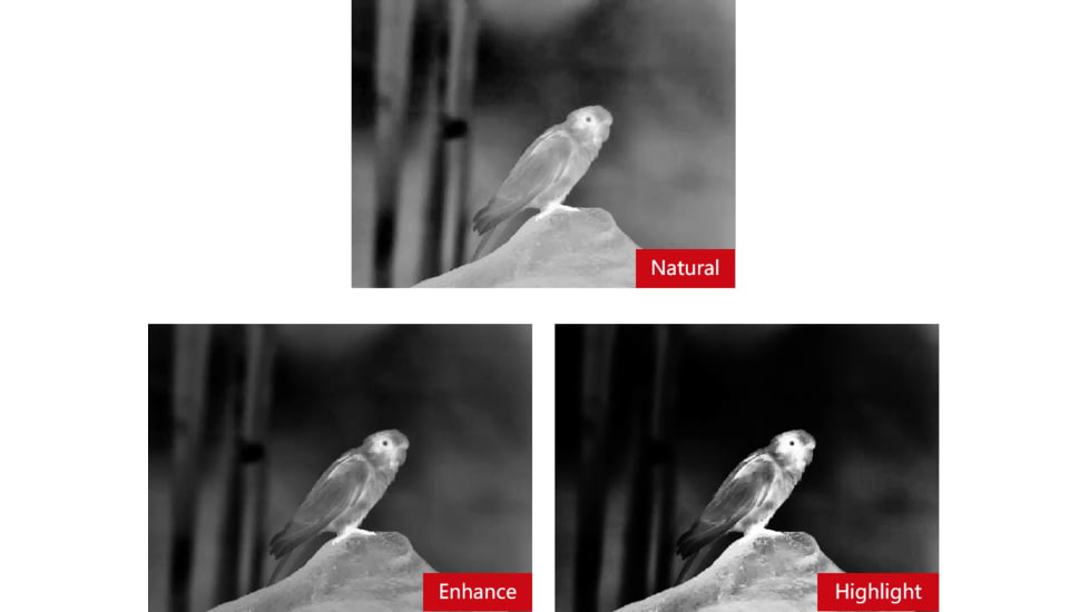 Guide Sensmart TN series LRF TN650 2.8-22.4x50mm Thermal Binocular, 640x480, Black, TN650LRF