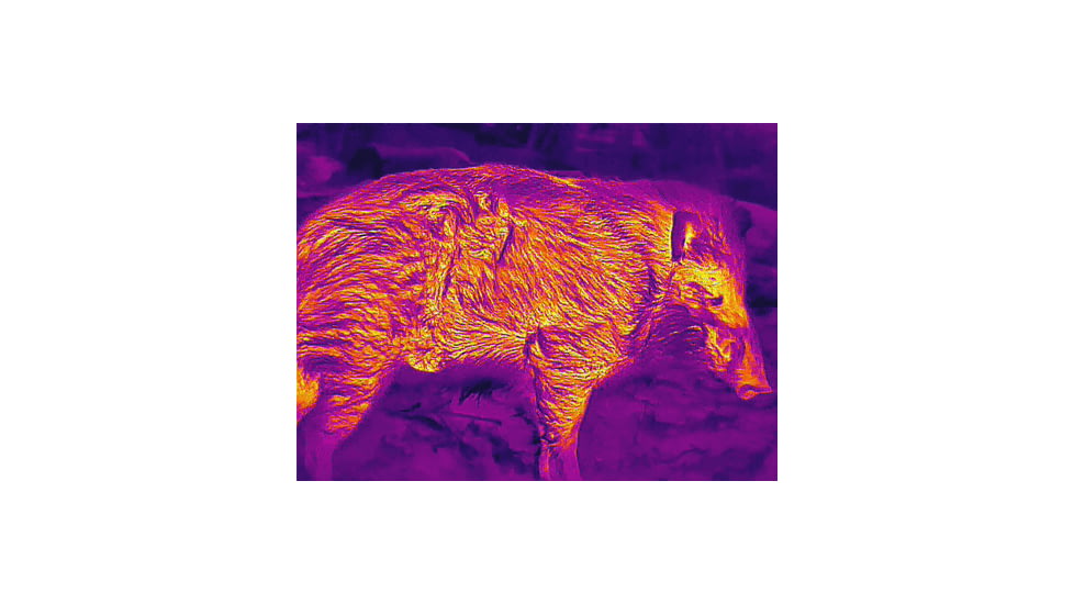 Guide Sensmart TU Series TU431 2.6-10,4x35mm Thermal Rifle Scope, 400x300, Black, TU431