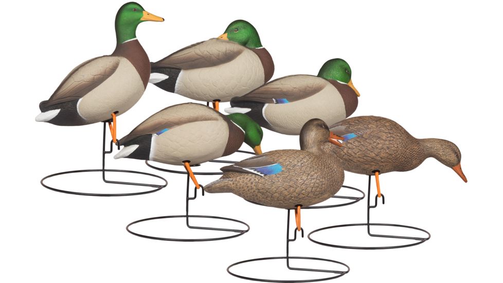 Hard Core Rugged FB Touchdown Painted, 6-pack, 01-200-0026