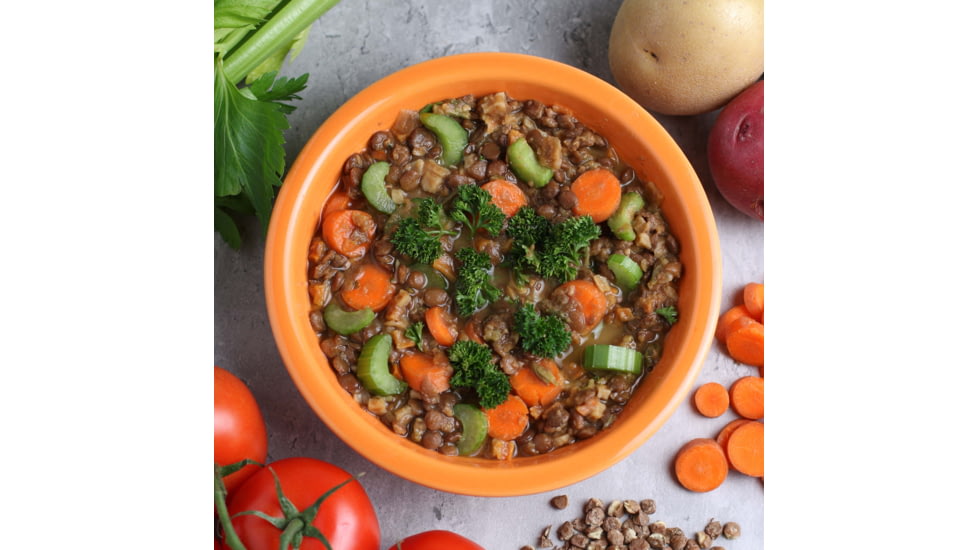 Heather's Choice Vegetable Lentil Soup Dehydrated Dinner, 113g, Gluten Free, Vegetable Lentil Soup