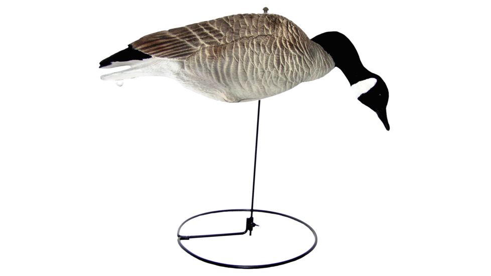 Mayhem Decoys by Heavy Hauler Outdoor Gear Canada Goose Field Decoy, 1 dozen HH0134CP