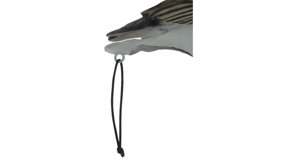 Mayhem Decoys by Heavy Hauler Outdoor Gear Canada Goose Field Decoy Flocked Heads, 1 dozen HH0134CF