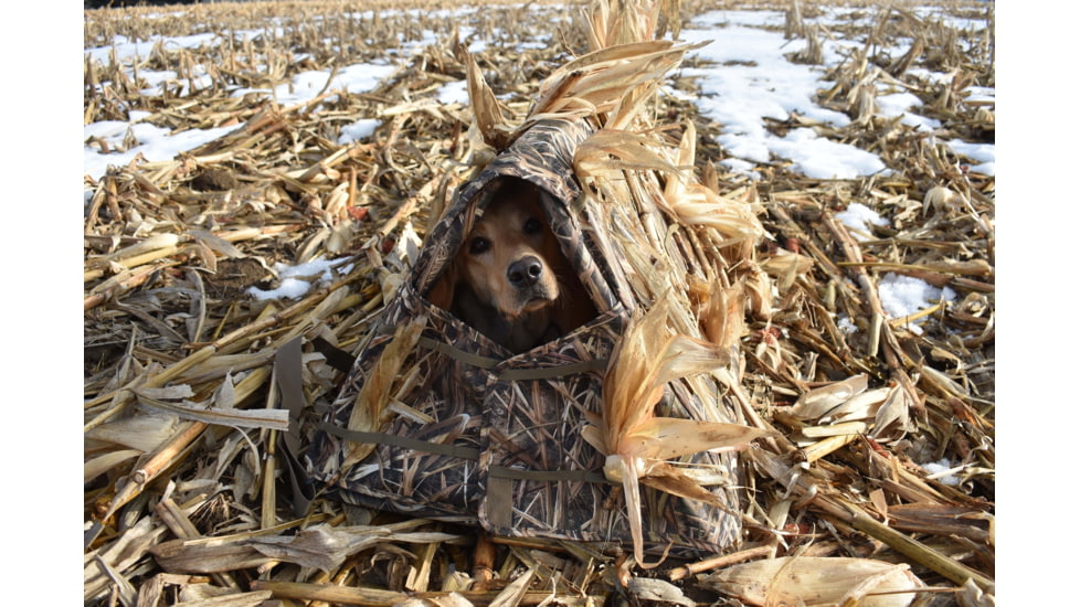 Heavy Hauler Outdoor Gear Ez Collapse - Dog Blind, Mossy Oak Shadow Grass Blades, HH0131-MOSGB