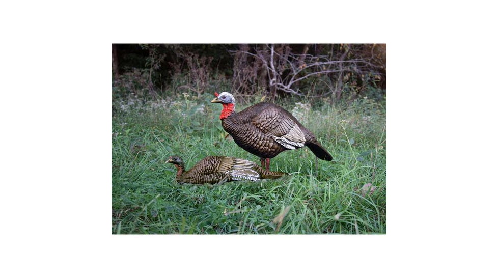 Higdon Outdoors 1/4 Strutt &amp; Laydown Hen, Jake &amp; Jill, 63181