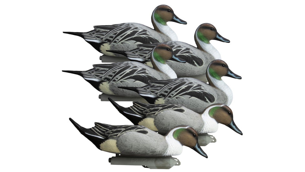 Higdon Outdoors Battleship Pintail, Multi Color, Foam Filled, 6 Pack, 16544