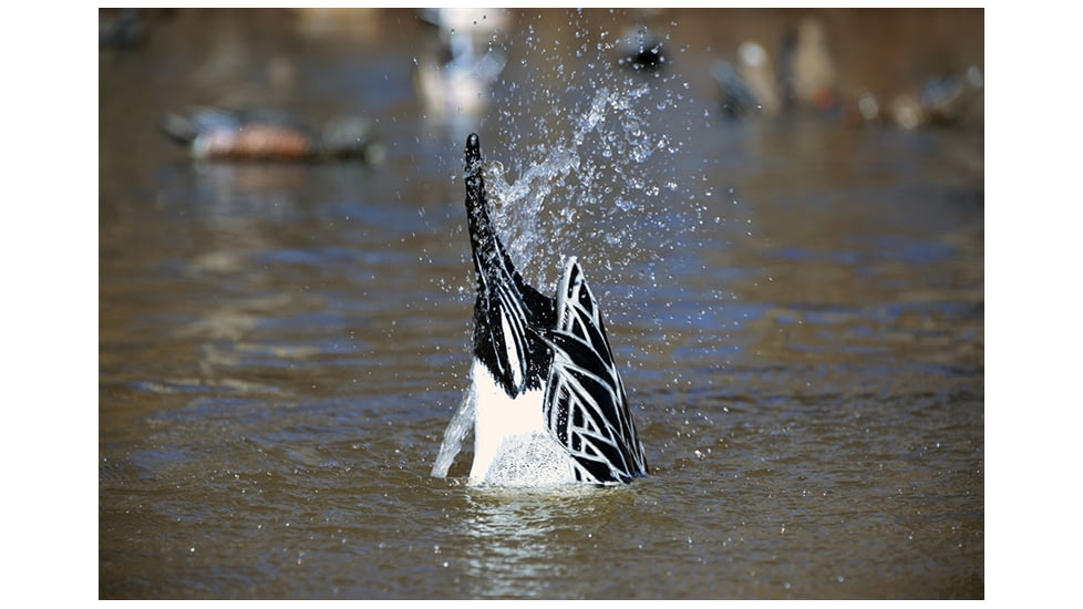 Higdon Outdoors 50534 XS Pulsator Pintail Black/Gray Rechargeable 12V Li-ion Pinta