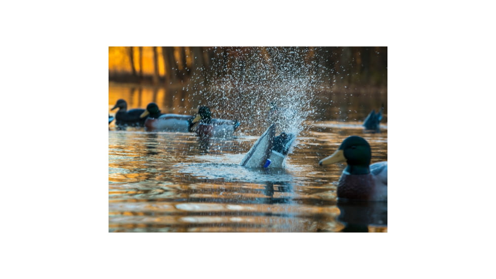 Higdon Outdoors 54073 Pulsator Mallard Drake Species