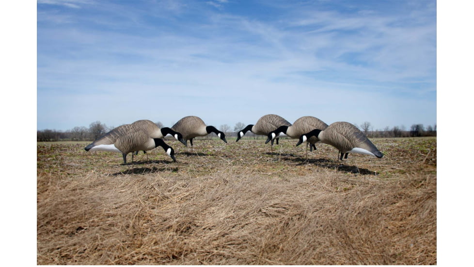 Higdon Outdoors Alpha Magnum Full-Body TruFeeder Pack Decoy, Canada, 71246