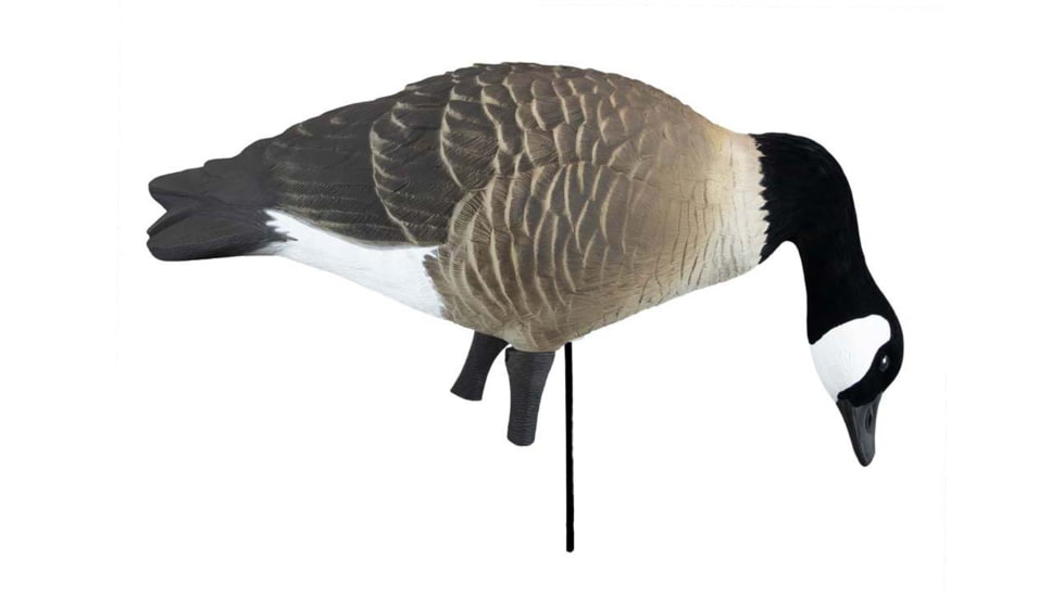 Higdon Outdoors APEX Canada Goose Decoy Flocked Head, Lifesize, 72247