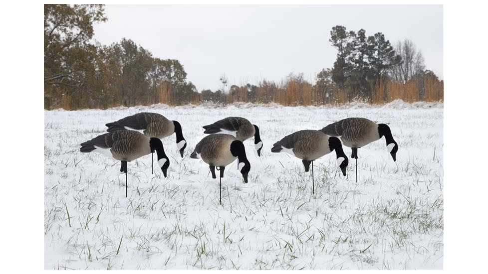 Higdon Outdoors APEX Canada Goose Decoy Flocked Head, Lifesize, 72247