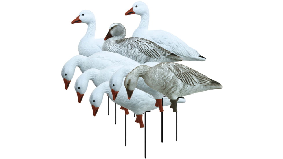 Higdon Outdoors APEX Full-Size Full-Body Variety Pack Decoy, Snow/Juvenile, 72338