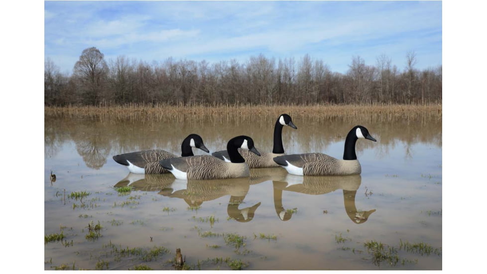 Higdon Outdoors Canada Goose Floaters Decoy, Foam Filled, Fullsize, 77143