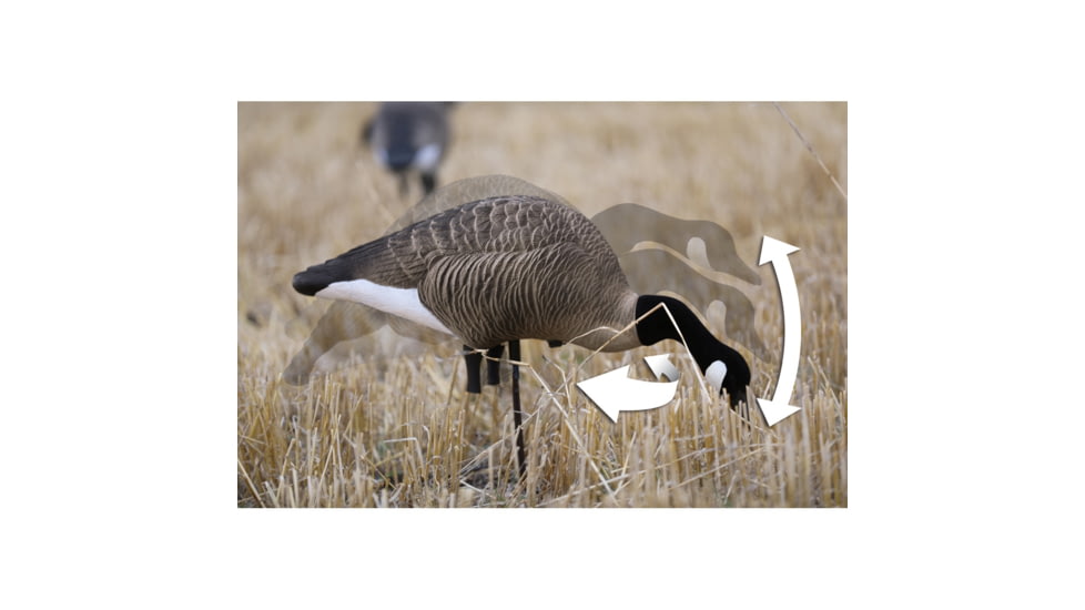 Higdon Outdoors XS TruFeeder Motion Decoy - Alpha Canada Goose w/ Ring Base, 50721