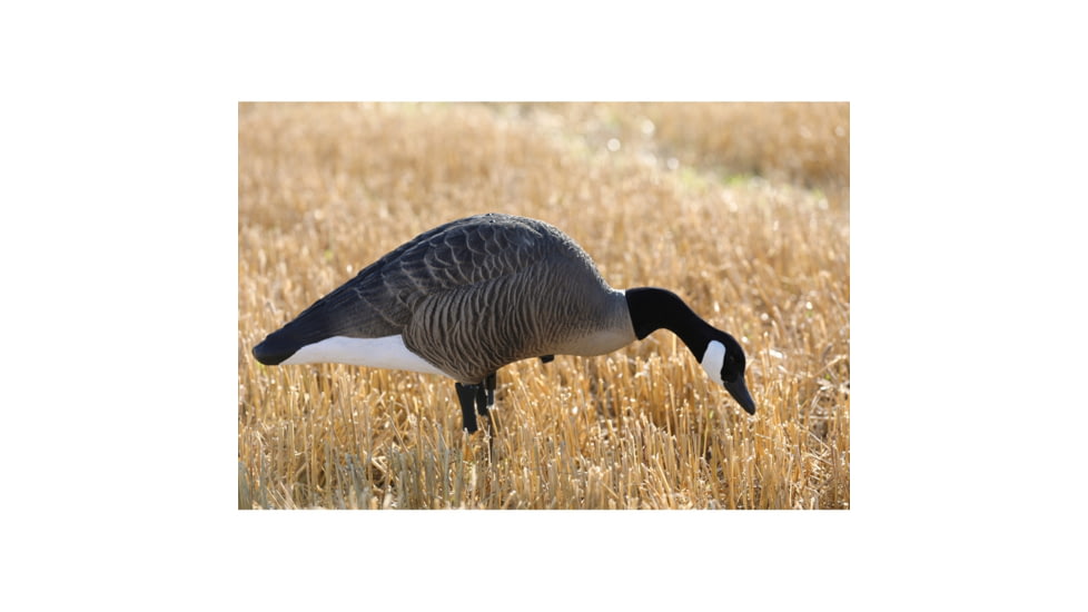 Higdon Outdoors XS TruFeeder Motion Decoy - Alpha Canada Goose w/ Ring Base, 50721