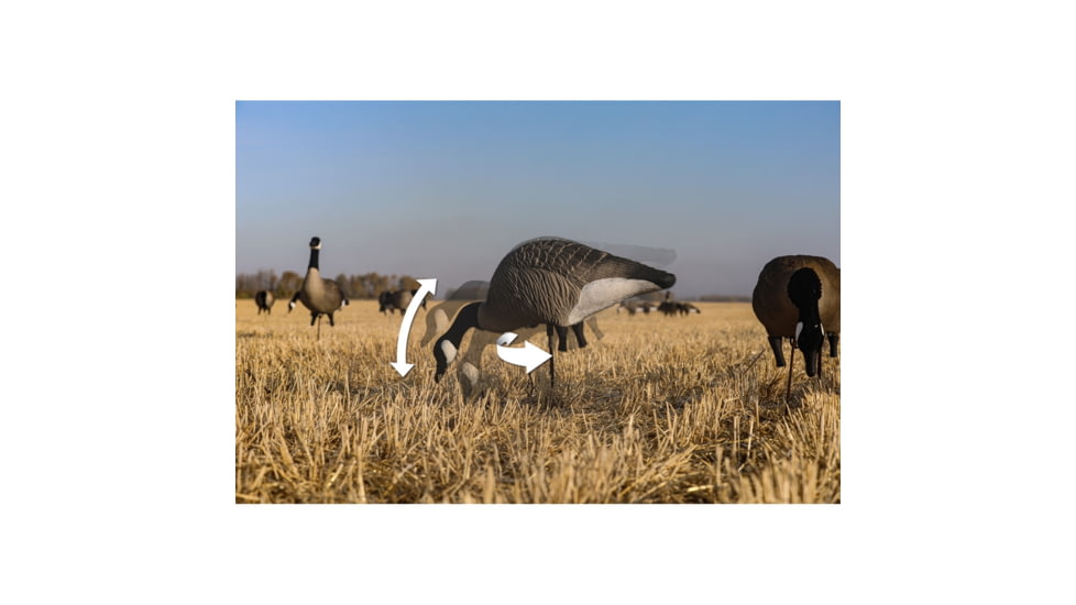 Higdon Outdoors XS TruFeeder Motion Decoy - Alpha Canada Goose w/ Ring Base, 50721