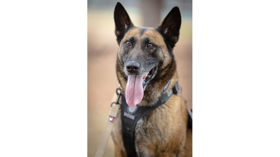 High Speed Gear Bonito 15 Tracking Lead, Coyote Brown, 28L015CB