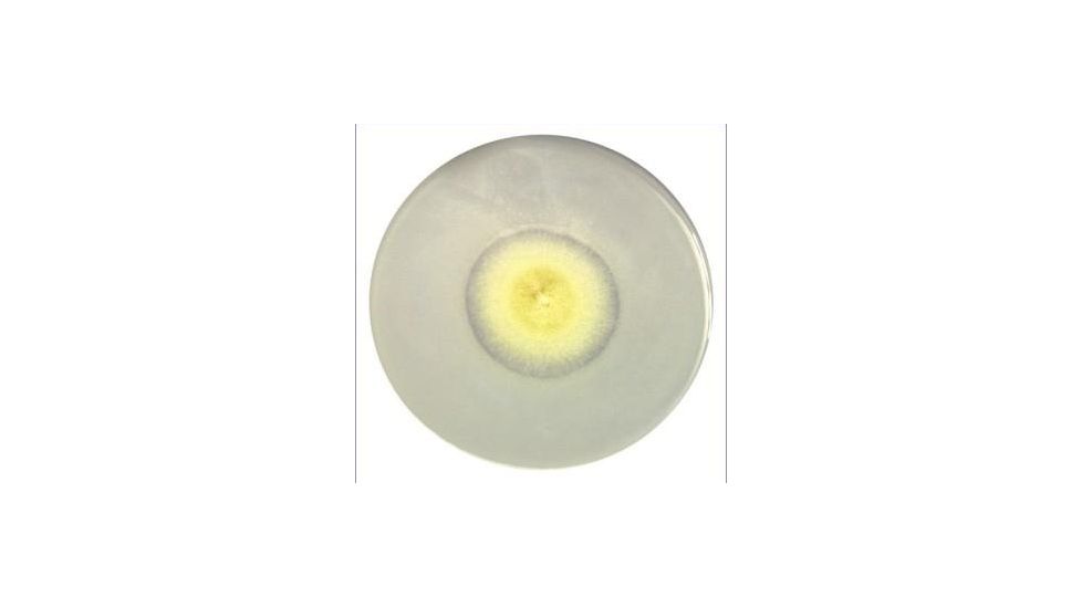 Himedia Laboratories PIKOVSKAYA'S Agar 500GM M520-500G