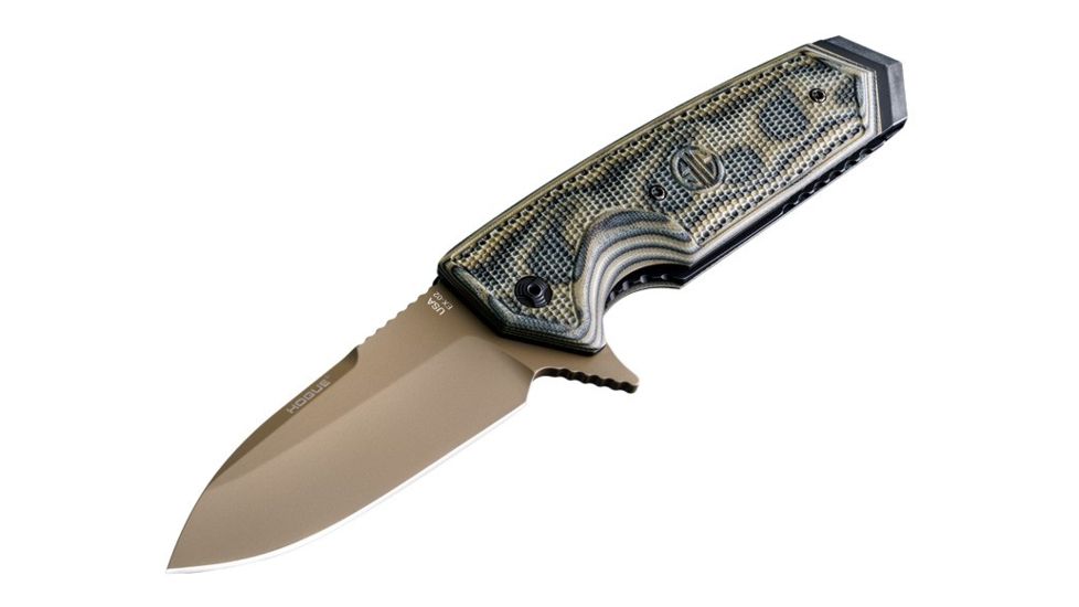 Hogue EX-02 3.75in Sig Folder Spear Point Blade Flipper, Flat Dark Earth Finish, G10 Scales, Green 36218
