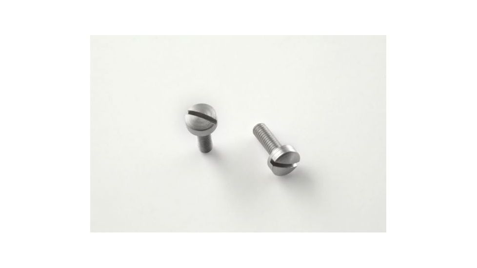 Hogue Hi Power Screws (2) Slotted - Stainless Finish 09018