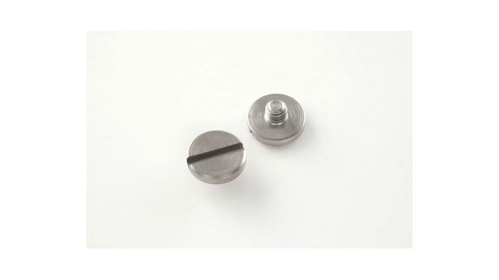 Hogue P85-91 and P94 Screws 2 Slotted, Stainless Finish 85018