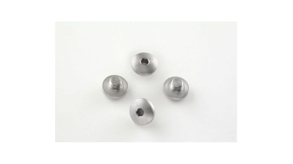Hogue SIG Sauer P226/P228 Screws (4) Hex Head Stainless finish 26019