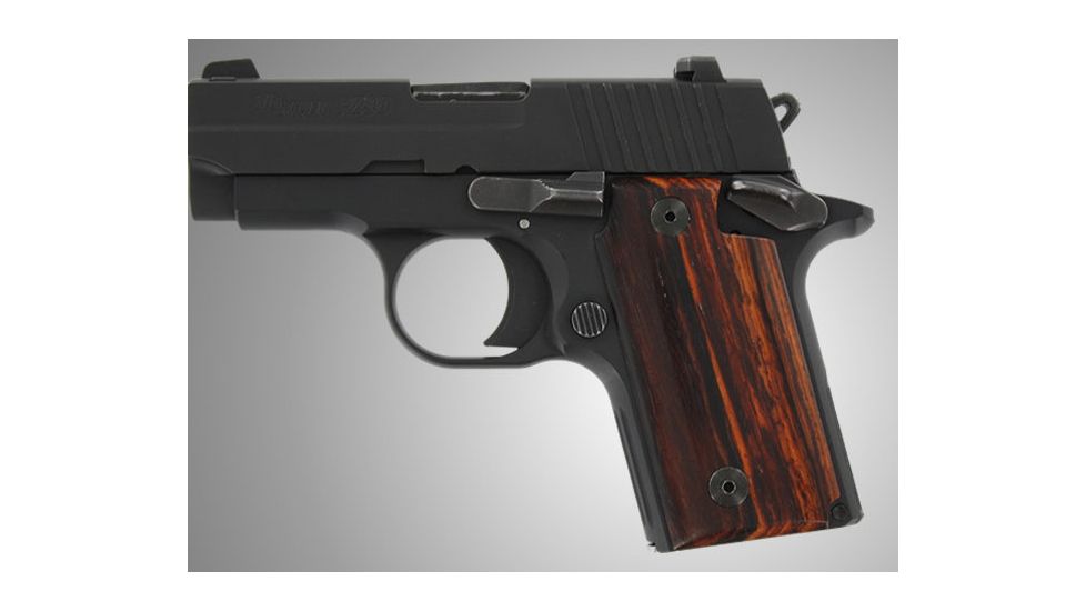 Hogue SIG Sauer P238 CoBo 38810