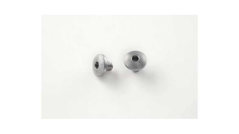 Hogue SIG Sauer P239 Screws (2) Hex Head - Stainless finish 31019