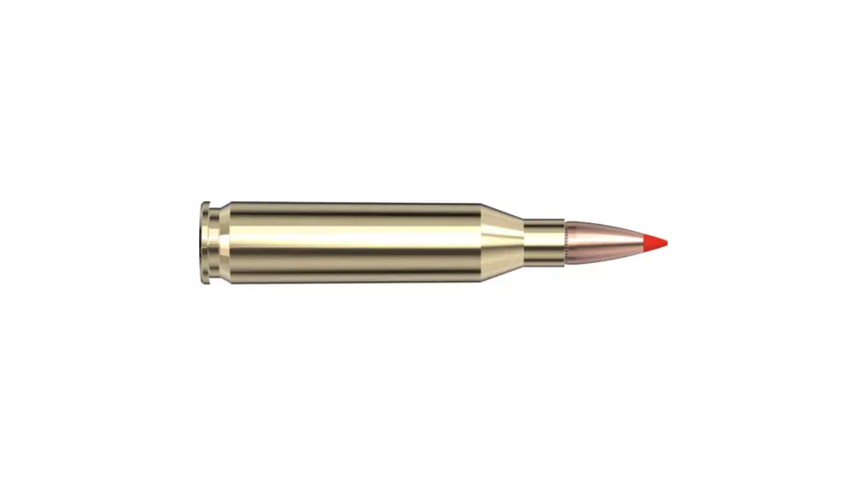 Hornady American Whitetail Tipped 243 Win 95 Grain SST Brass Cased Rifle Ammo, 20 Rounds, 80461