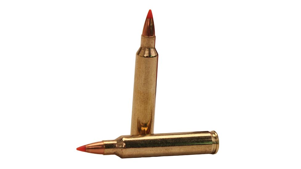 Hornady Superformance .204 Ruger 32 grain V-MAX Brass Cased Centerfire Rifle Ammo, 20 Rounds, 83204