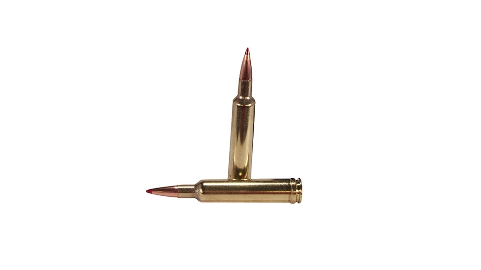 Hornady Precision Hunter .257 Weatherby Magnum 110 grain Extremely Low Drag - eXpanding Brass Cased Centerfire Rifle Ammo, 20 Rounds, 81364