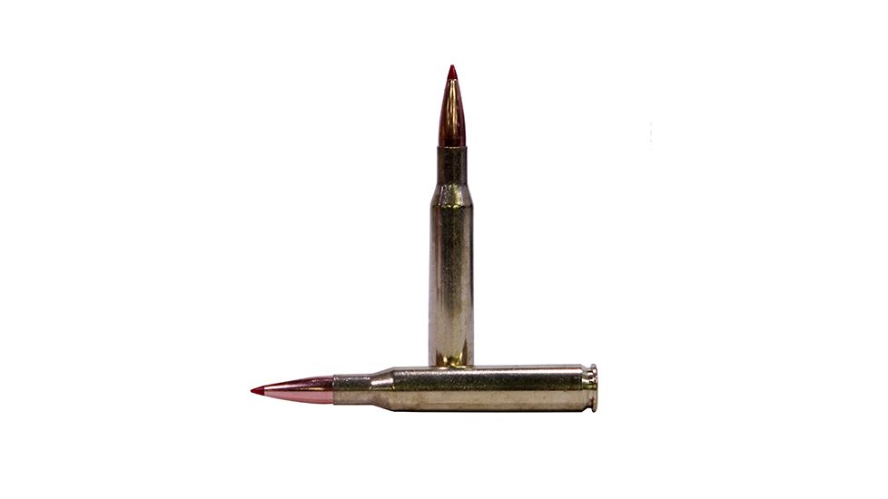 Hornady Precision Hunter .270 Winchester 145 grain Extremely Low Drag - eXpanding Brass Cased Centerfire Rifle Ammo, 20 Rounds, 80536