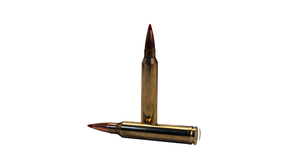 Hornady Precision Hunter .300 Winchester Magnum 200 grain Extremely Low Drag - eXpanding Brass Cased Centerfire Rifle Ammo, 20 Rounds, 82002