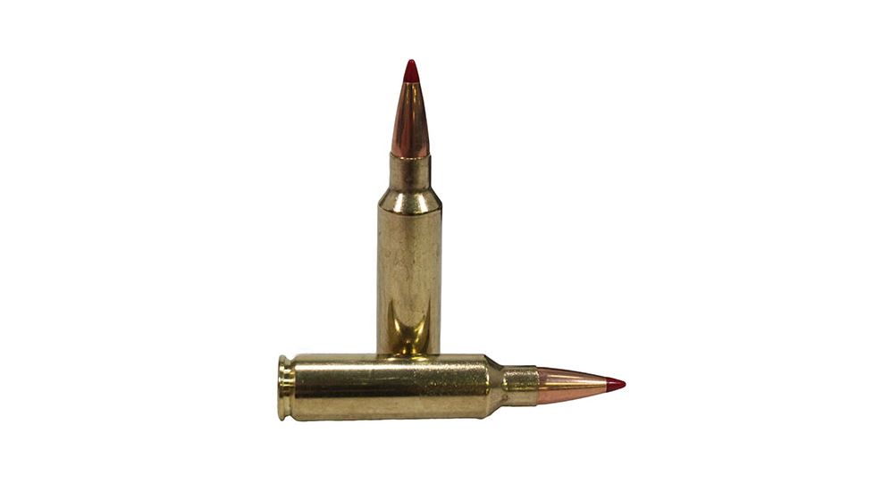 Hornady Precision Hunter .300 Winchester Short Magnum 200 grain Extremely Low Drag - eXpanding Brass Cased Centerfire Rifle Ammo, 20 Rounds, 82208