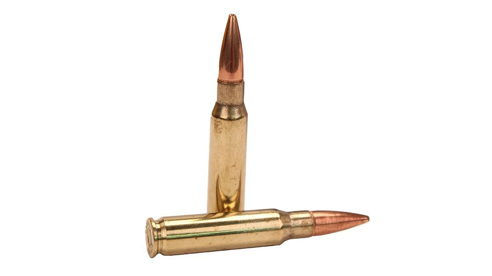 Hornady American Gunner .308 Winchester 155 grain Boat-Tail Hollow Point Brass Cased Centerfire Rifle Ammo, 50 Rounds, 80967