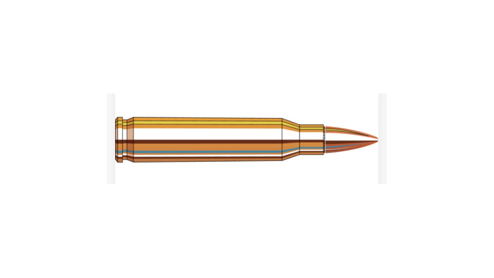 Hornady Frontier 5.56x45mm NATO 55 grain Full Metal Jacket Brass Cased Centerfire Rifle Ammo, 20 Rounds, FR200